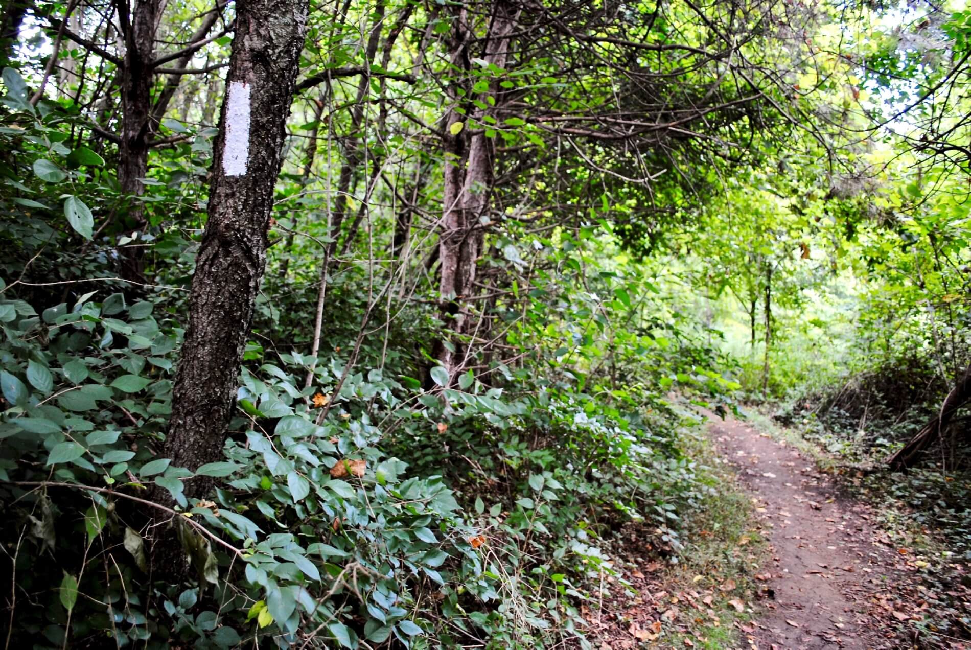 Appalachian Trail