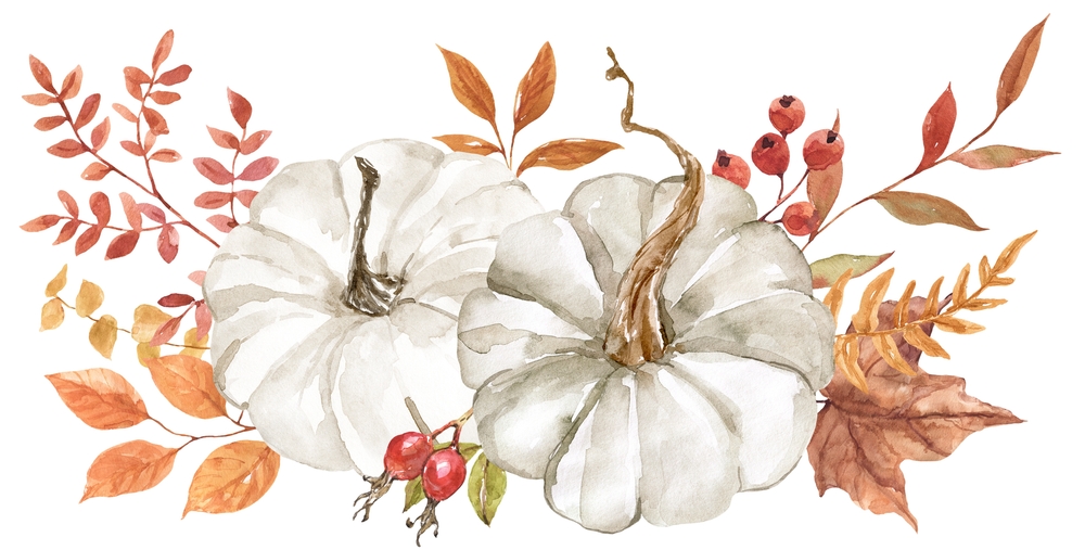 What are Your Favorite Thanksgiving “Sides”?